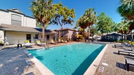 Located at 1202 Seagler Rd in Houston, Texas, this outdoor amenity space centers around a generously sized, rectangular swimming pool with crystal-clear turquoise water. The pool area is enclosed by a wrought iron fence, providing both security and an open, airy feel. A wide pool deck surrounds the water on all sides, furnished with multiple lounge chairs, chaise lounges, and shaded seating areas accented by bright yellow umbrellas — ideal for relaxing in the Houston sun. The landscaping is a standout feature, with tall swaying palm trees and mature pine trees framing the space and providing natural shade throughout the day. The overall setting evokes a resort-style ambiance, offering a peaceful retreat within an established residential community. The surrounding buildings are two-story structures with neutral earth-tone exteriors and pitched rooflines, contributing to the cohesive and well-maintained aesthetic of the property. The pool includes both shallow and deeper sections, with clearly marked depth indicators along the edges. Under the abundant Texas sunshine and blue skies, this outdoor space delivers a vibrant, inviting environment perfectly suited to warm-weather enjoyment and community gathering.