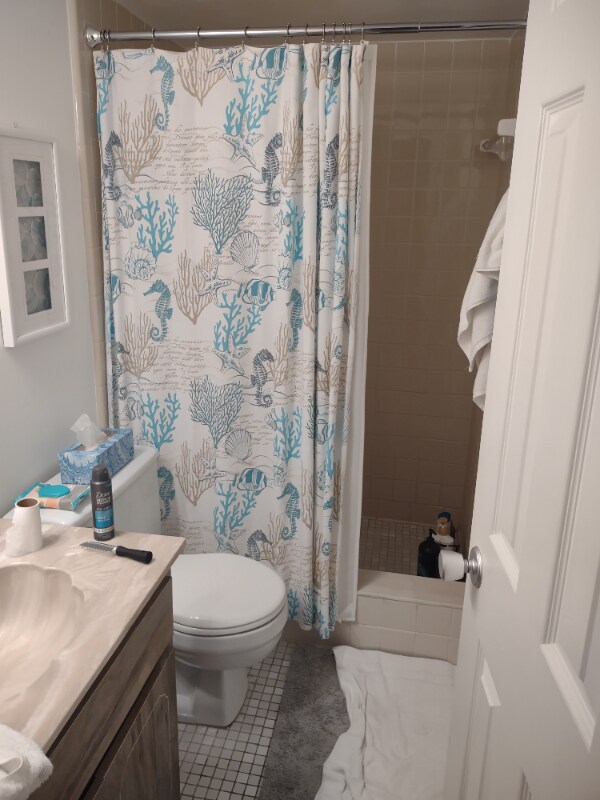 Building Photo - 21 Dondanville Rd