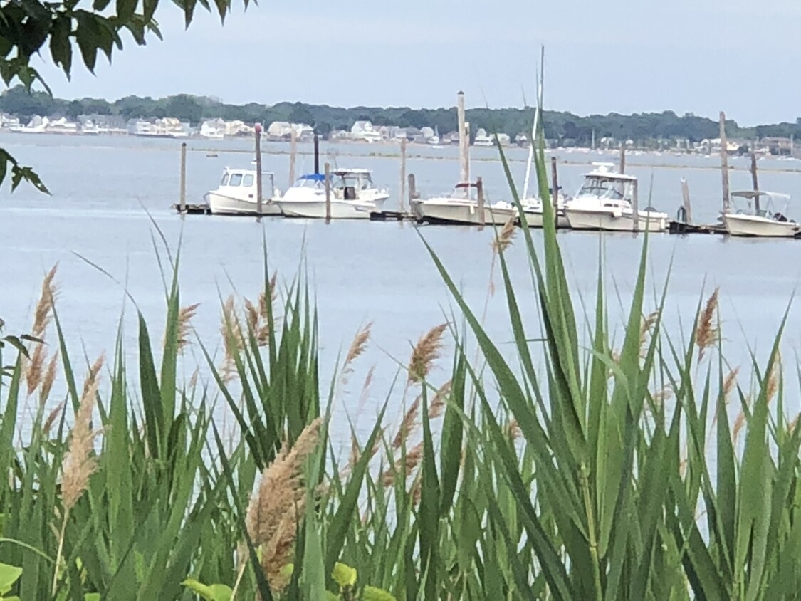 WATER FRONT - 183 1st Ave