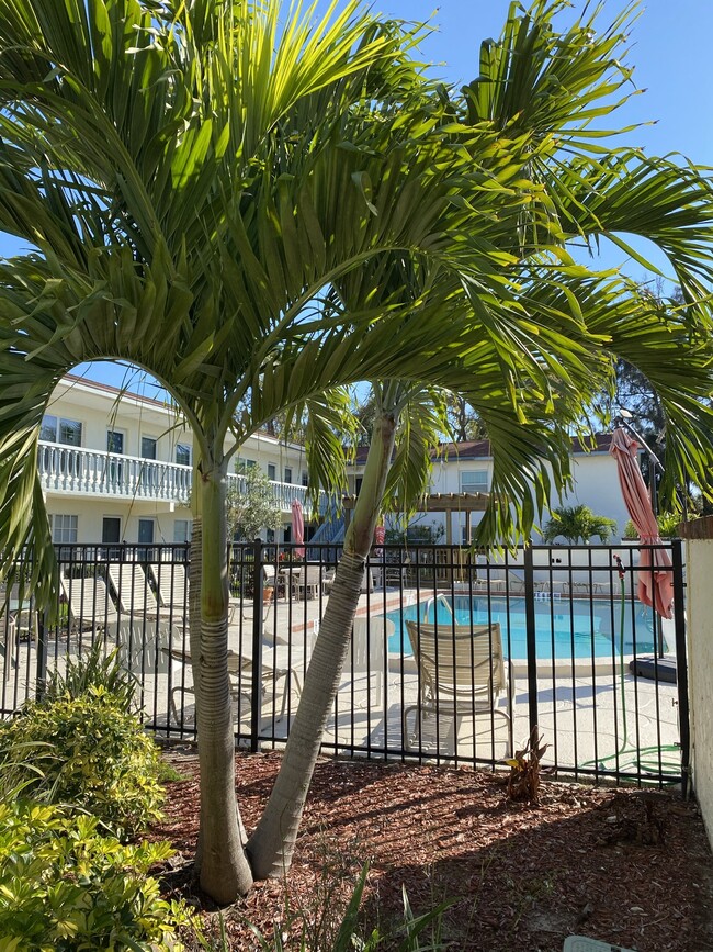 Building Photo - 300 Monroe Ave