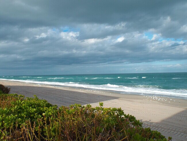 Building Photo - 2979 S Hwy A1A