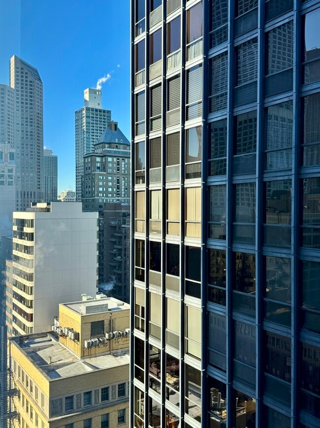 Foto del edificio - 900 N Lake Shore Dr