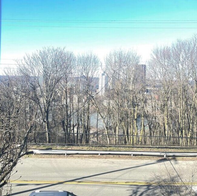 Seasonal view of the city! - 406 Bailey Ave