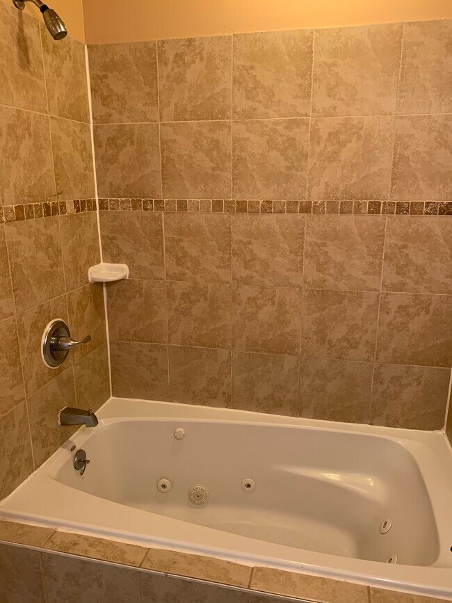 Bañera de hidromasaje en el baño del dormitorio principal - 818 Whitelock St