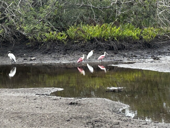 Foto del edificio - 11651 Upper Manatee River Rd