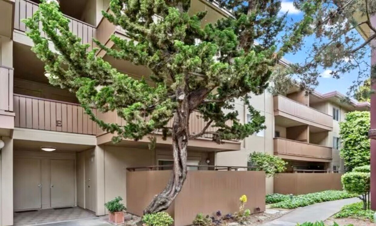 Primary Photo - Desirable Park Webster Gated Community in ...