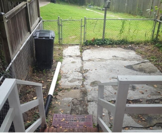 Back yard - 215 Buchanan St