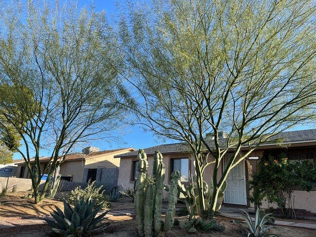 Building Photo - 3813 E Gelding Dr