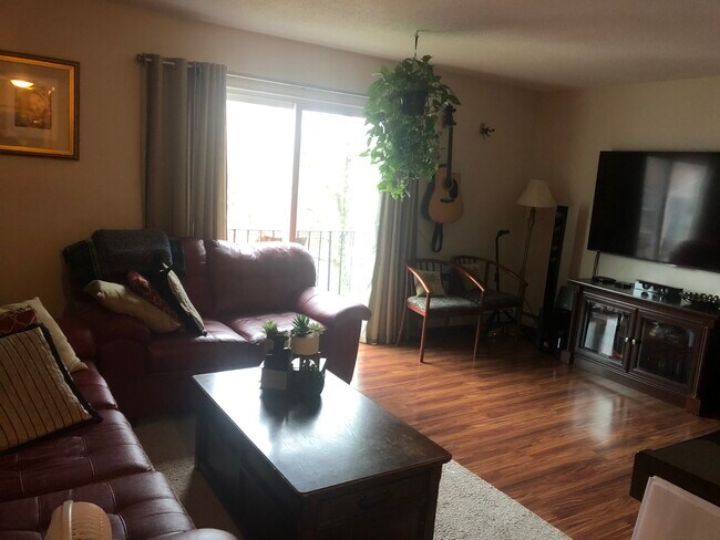 Family Room - 11 Chapel Hill Dr