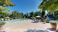 Located at 7300 Parkwood Cir in Dublin, California, this expansive outdoor amenity area is designed to provide a resort-style recreational experience. At the heart of the space is a generously sized swimming pool with crystal-clear turquoise water, surrounded by a well-maintained paver and wood-deck pool surround. Rows of lounge chairs and umbrella-shaded seating are arranged along the poolside, offering ample space for sunbathing and relaxation under the Northern California sun. A separate spa hot tub is situated adjacent to the main pool, tucked within a neatly landscaped enclosure with hedging for added privacy. The entire area is framed by towering mature trees — including redwoods, birches, and oaks — which provide a natural, serene backdrop and welcome shade. A clubhouse-style building is visible at the edge of the space, complemented by additional outdoor seating areas with patio furniture and shade umbrellas, ideal for socializing. Lush plantings, potted ornamental trees, and manicured hedgerows throughout the grounds contribute to a polished, park-like atmosphere. The single-level layout ensures easy accessibility across the entire outdoor area, making it a welcoming communal retreat for all residents.