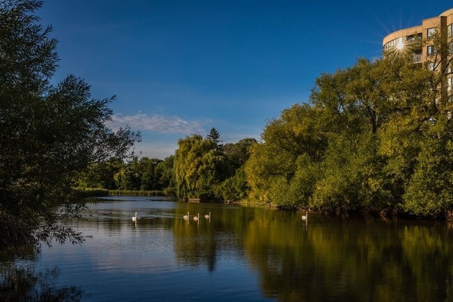 An idyllic day at Riverview Park.