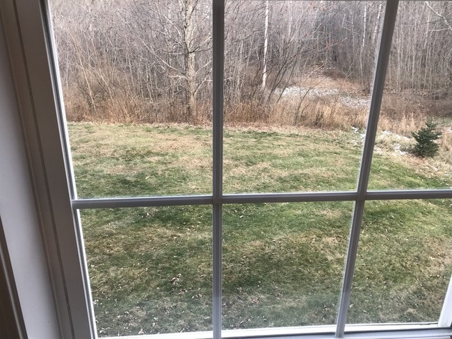 View of Back Yard - 1473 Pushaw Rd