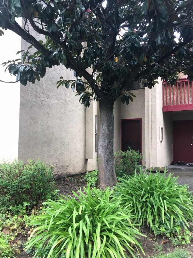 19 Redwood Ct, Santa Rosa, CA 95409 Condo for Rent in Santa Rosa, CA