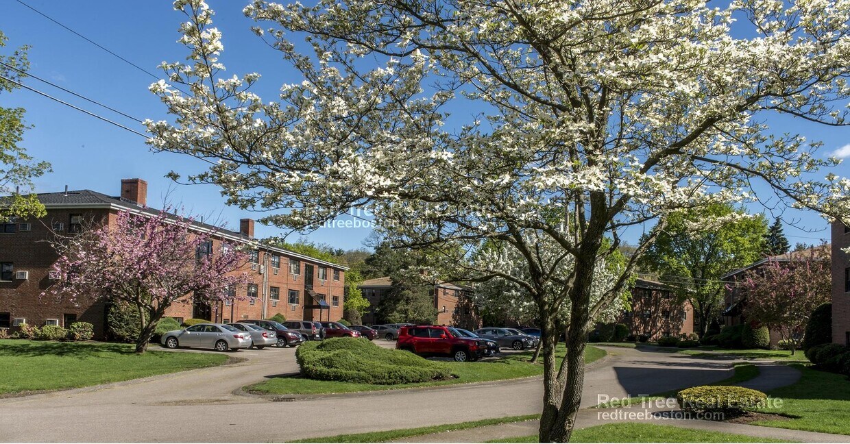 280 Grove St Unit 5, Auburndale, MA 02466 Apartments in Auburndale