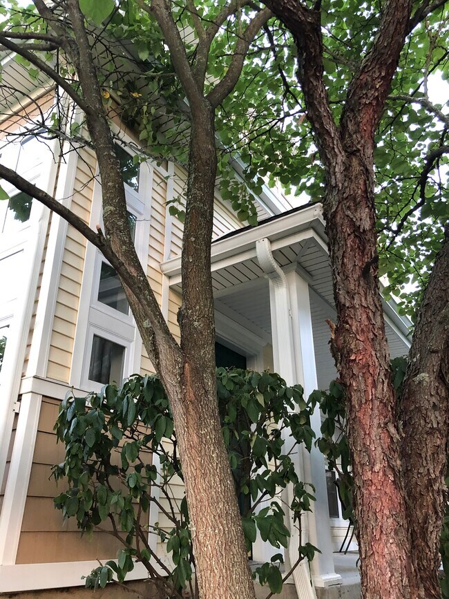 249 Old Farm Dr Unit 249, Great Meadows, NJ 07838 Condo for Rent in