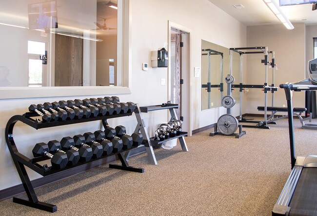 Gimnasio - Avenue 204