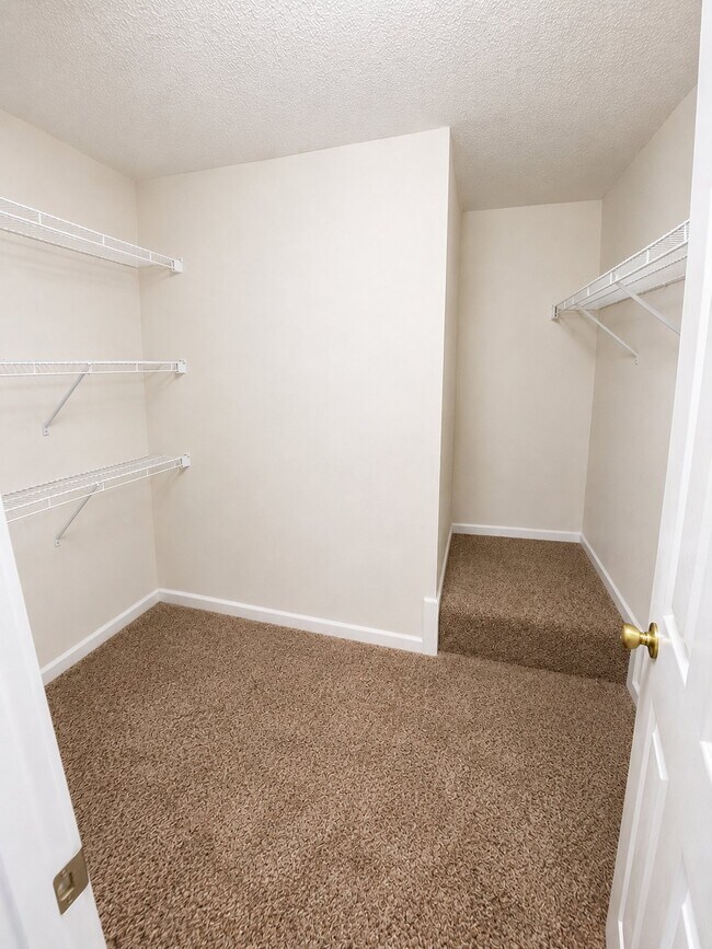 Foto del edificio - 3906 Thomas Ridge Dr
