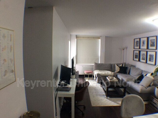 Foto del edificio - 1355 N Sandburg Terrace