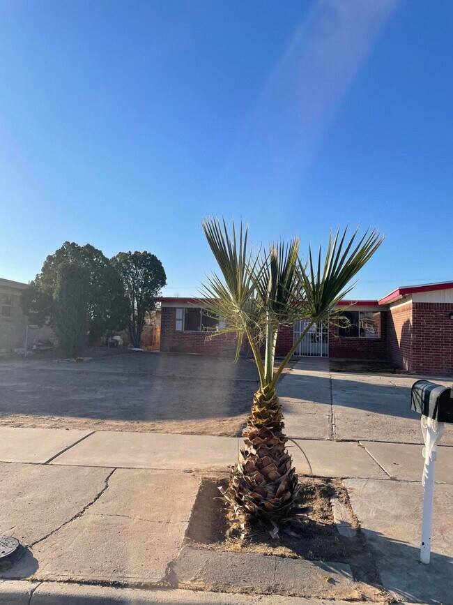 Building Photo - 8572 San Miguel Dr