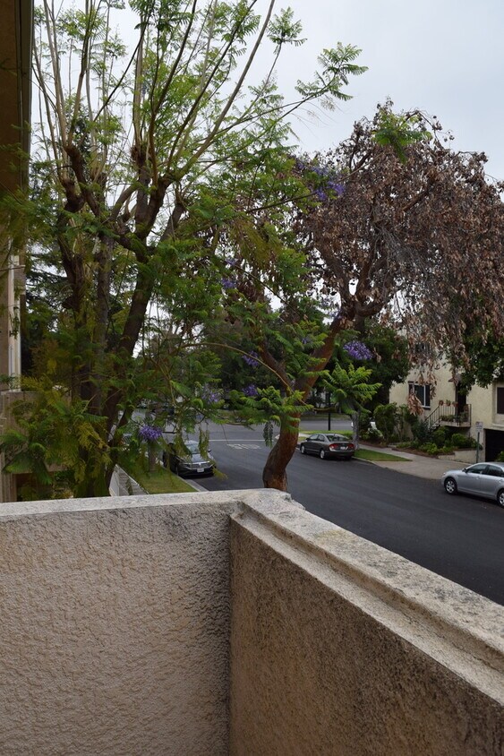 Primary Photo - 705 E Olive Ave