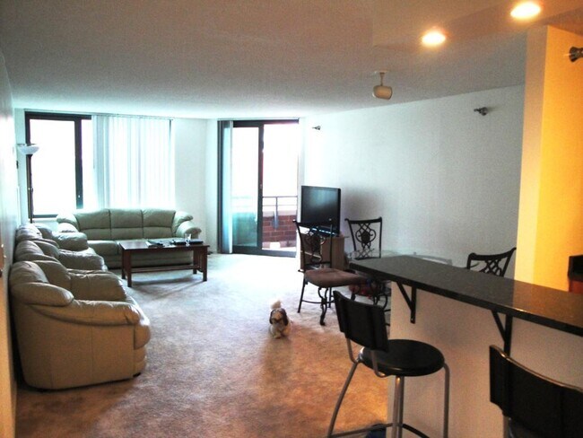 Foto del edificio - 480 N McClurg Ct