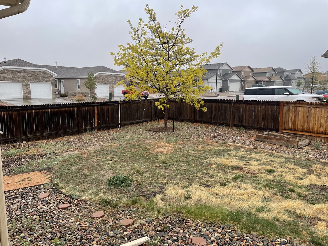 Photo - 6559 Gelbvieh Rd (Peyton, CO)