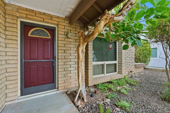 Building Photo - 1805 W Curry Dr