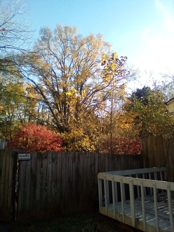 6 Easy St, Taylors, SC 29687 Room for Rent in Taylors, SC