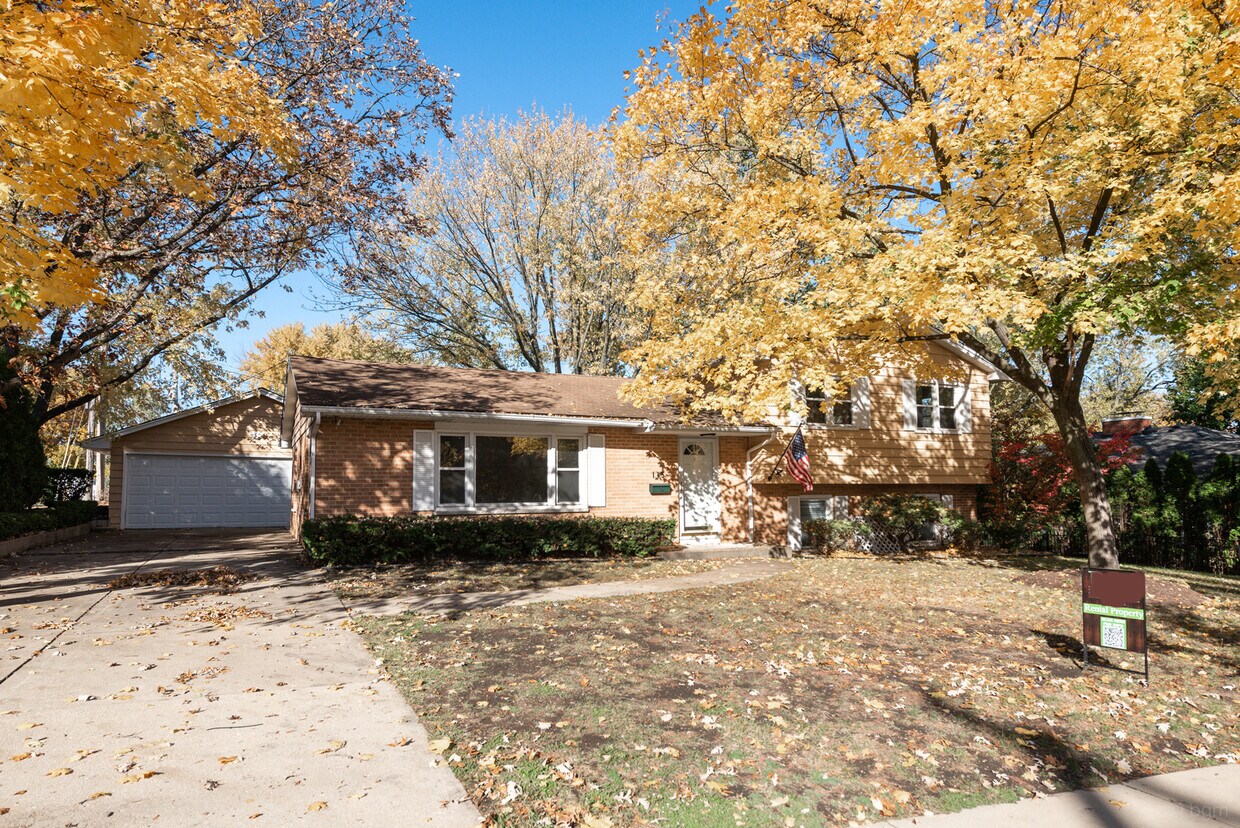 115 W Hillside Rd, Naperville, IL 60540 House Rental in Naperville