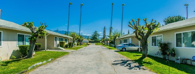 Building Photo - Ambassador Garden Homes