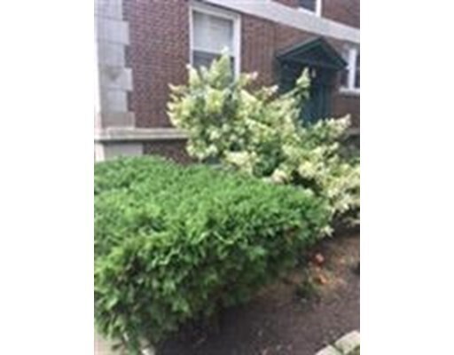 Primary Photo - 15 Ives St