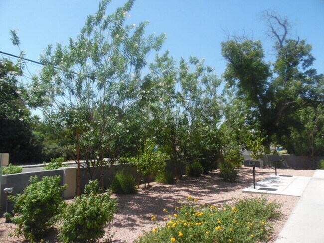 Foto del edificio - 5223 N 17th Ave