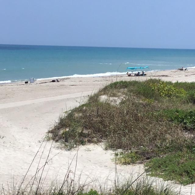 Building Photo - 735 Jimmy Buffett Mem Hwy