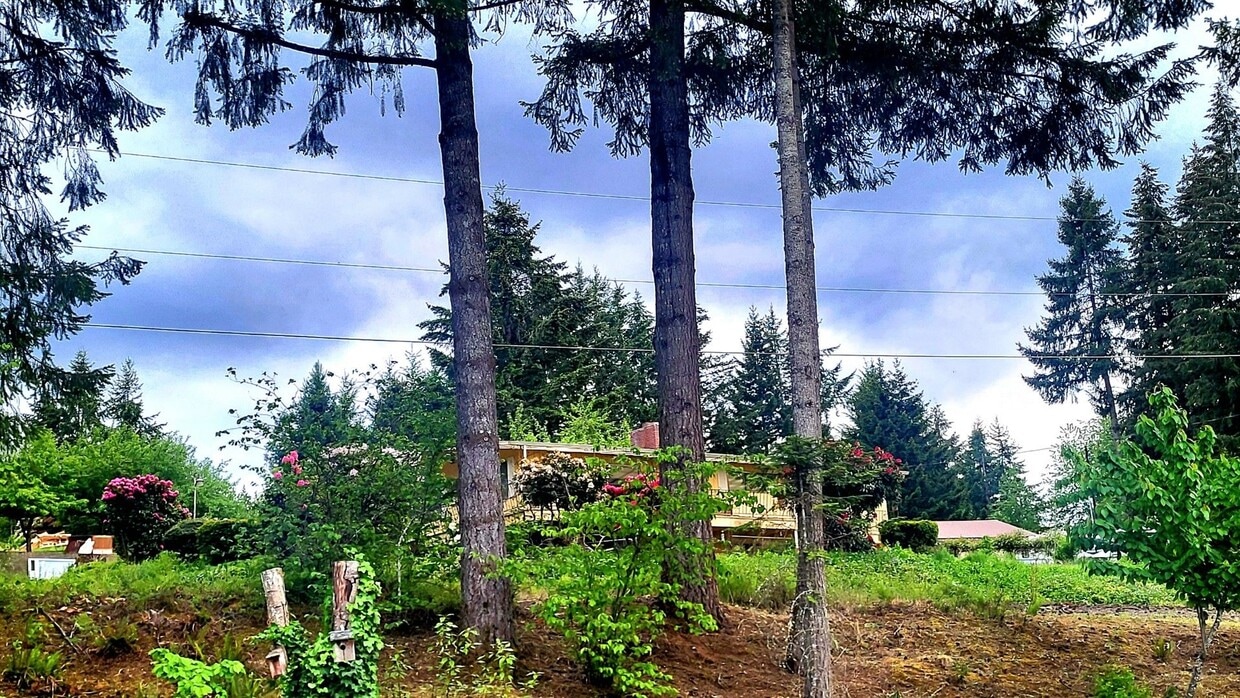 Primary Photo - 3-bedroom 2 bath House with Lake view