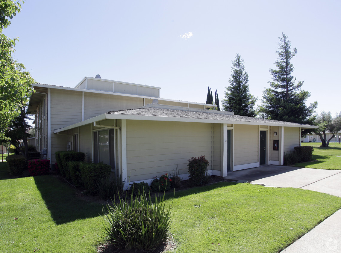 Building Photo - Live Oak Apartments