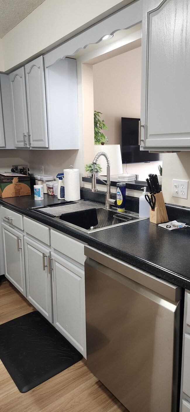 New sink and dishwasher - 7944 Jenhurst Way