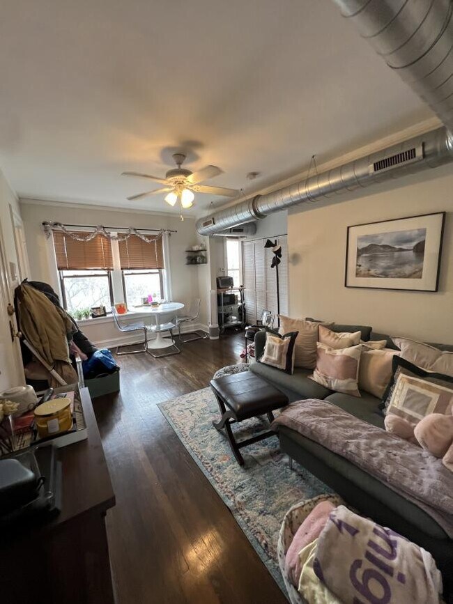 1 bedroom in Chicago IL 60657 - 1 bedroom in Chicago IL 60657 Apartment
