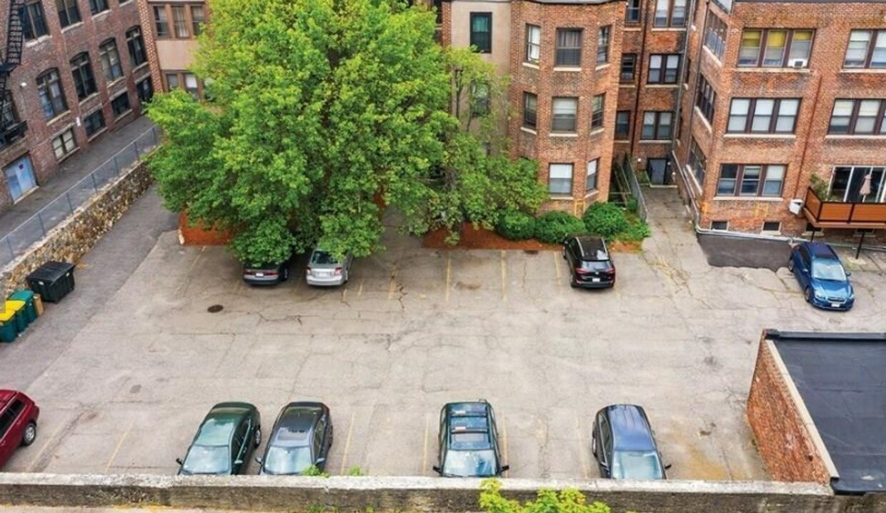 17 Stearns Rd Unit 1, Brookline, MA 02446 Room for Rent in Brookline