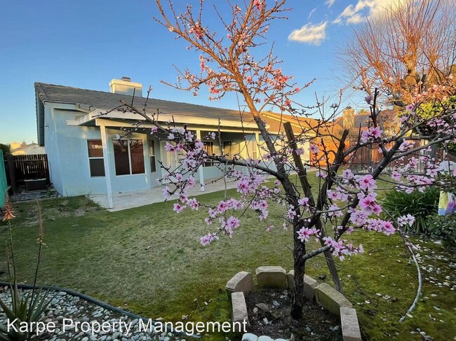 Building Photo - 3 br, 2 bath House - 9801 CASA DEL SOL DR
