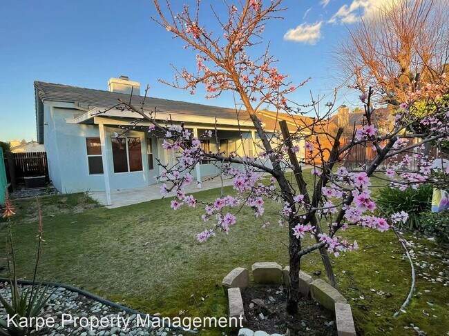 Foto del edificio - 3 br, 2 bath House - 9801 CASA DEL SOL DR