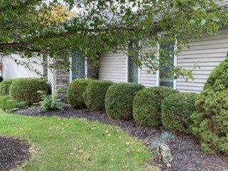 Outside at front - 1001 Crystal Ave