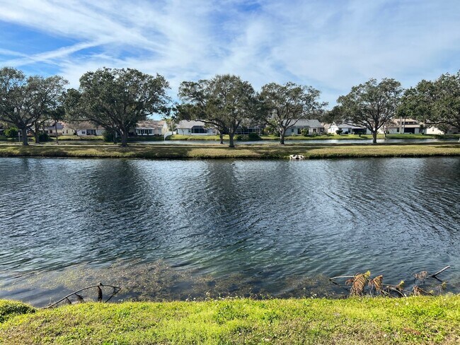 Photo - 702 49th St E House