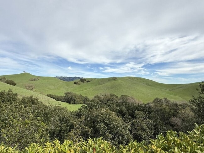 Foto del edificio - Beautiful custom one story estate located on one of the most desirable streets in Blackhawk Count...