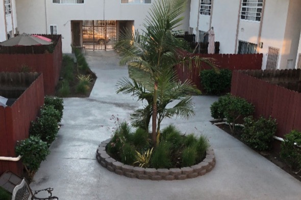 Courtyard - Palm Terrace