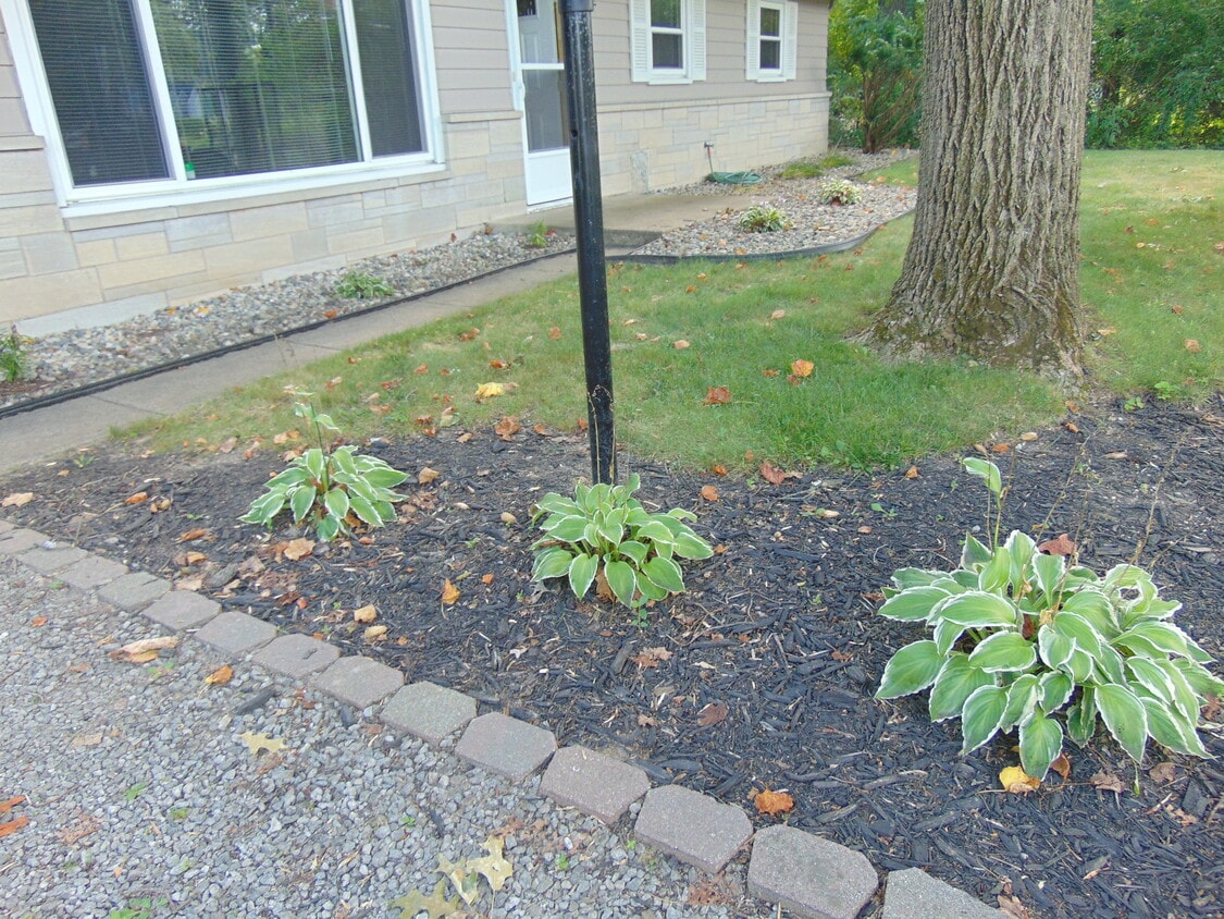 Primary Photo - 5333 Bluffton Rd