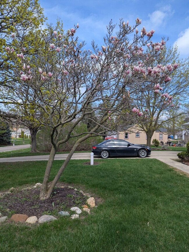 Foto del edificio - 3 bedroom in Grand Blanc Twp.