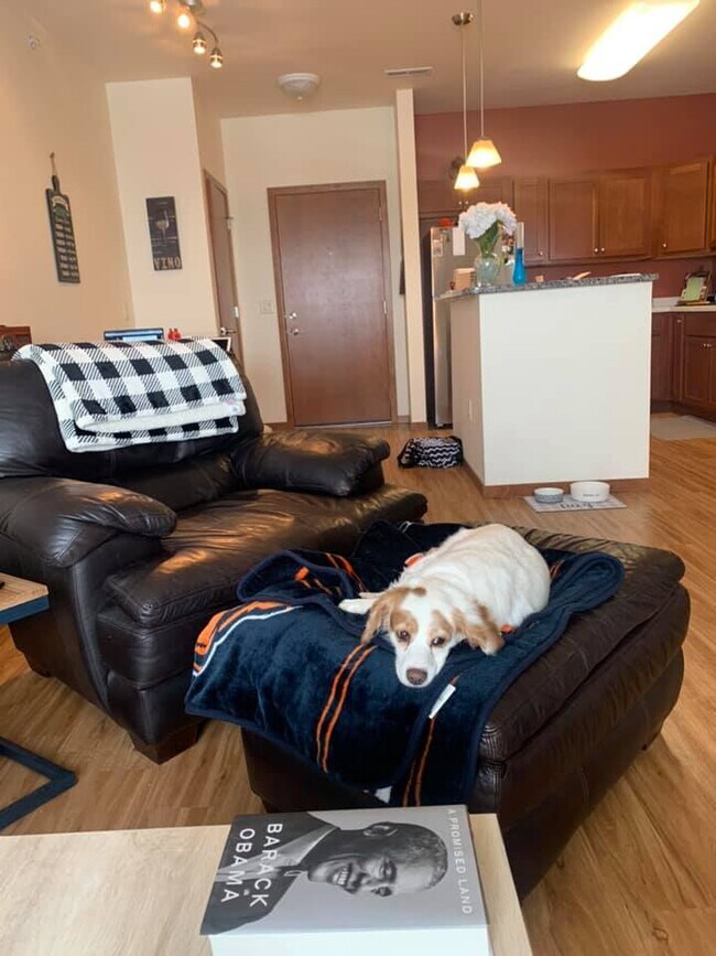 Vista de la cocina. La adorable no incluido para perros - 5194 Sassafras Dr