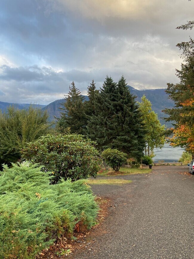 Foto del edificio - Charming Mid Century Home with Stunning River Views in Stevenson, WA
