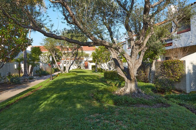 Building Photo - 2160 Plaza del Amo