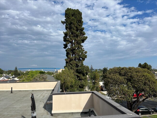 Foto del edificio - 256 B Ave